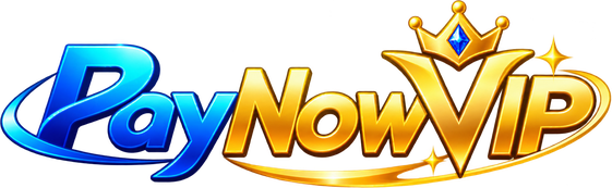 PayNow VIP